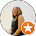 review dp1